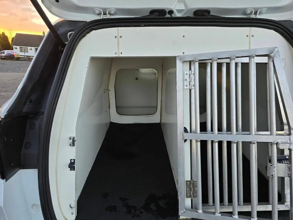 Dog transport - Image 1