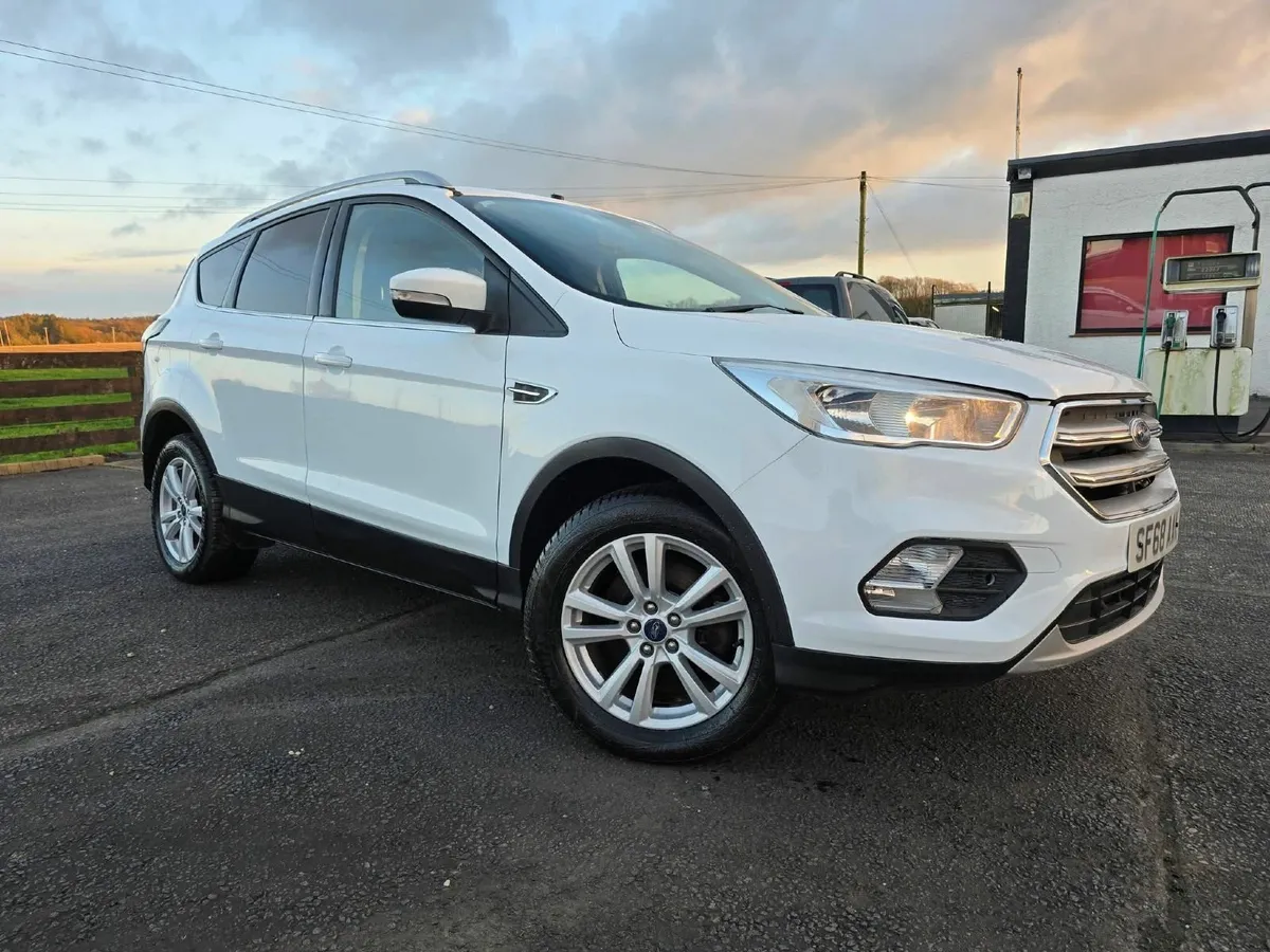 Dog transport - Image 2