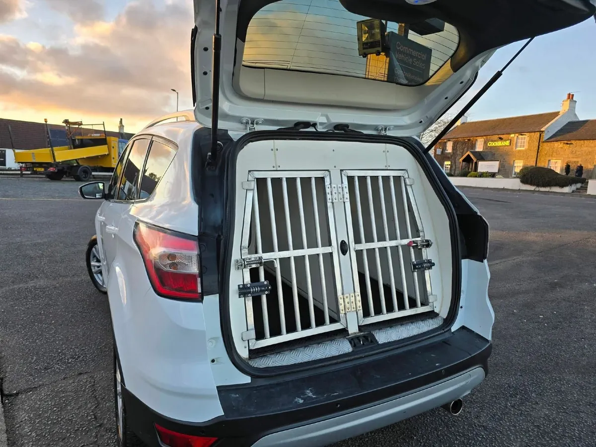 Dog transport - Image 4