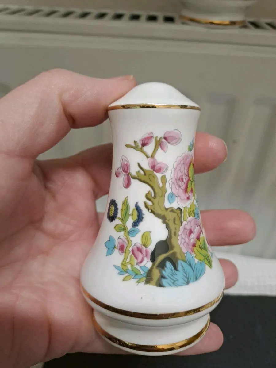 Sheer Elegance salt & pepper set - Image 4