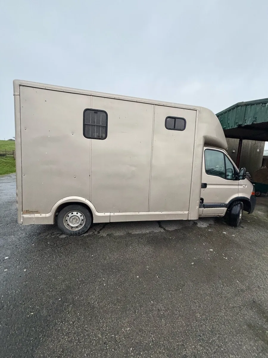 Renault Master 3.5t horse lorry - Image 3