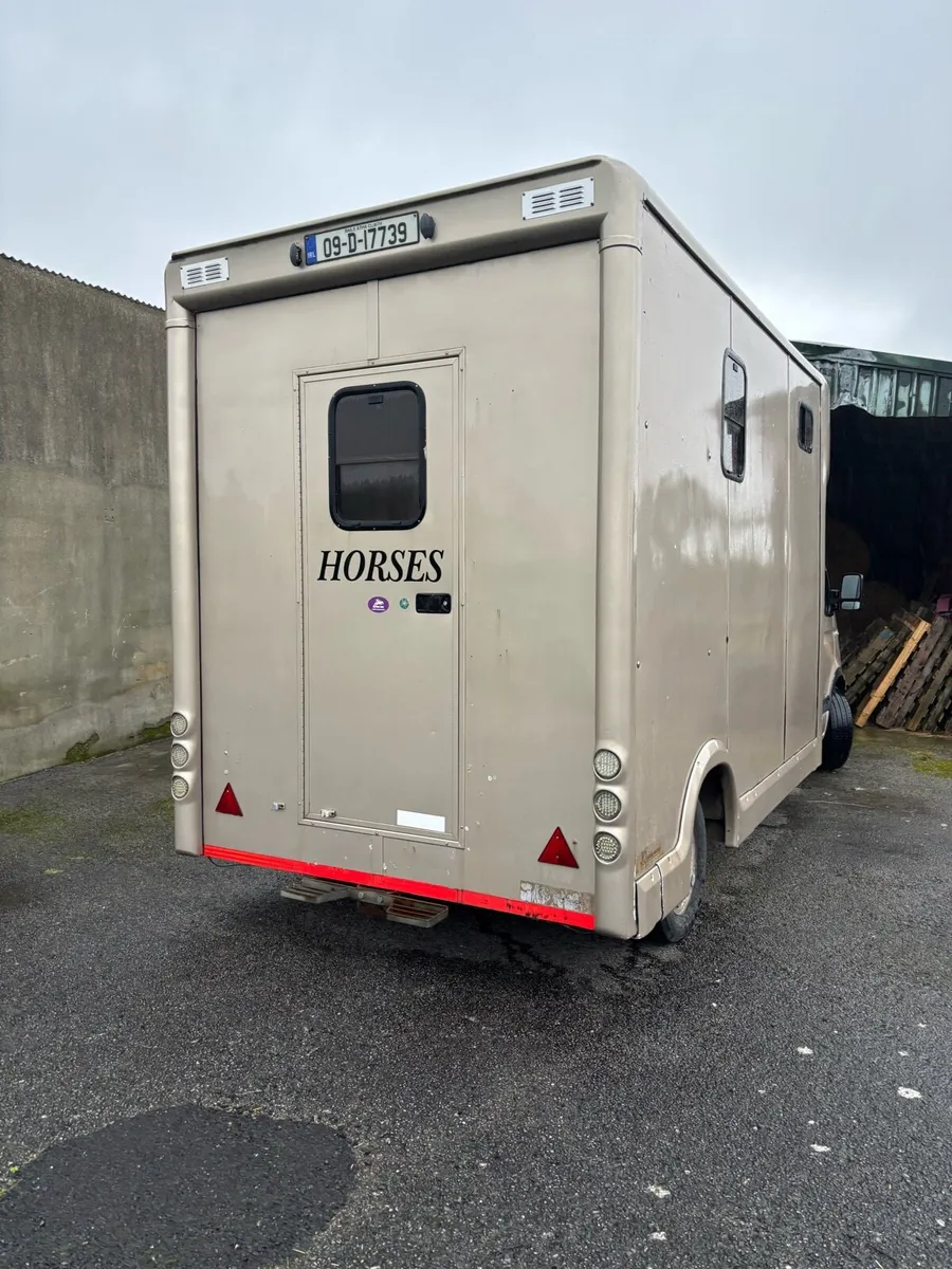 Renault Master 3.5t horse lorry - Image 4