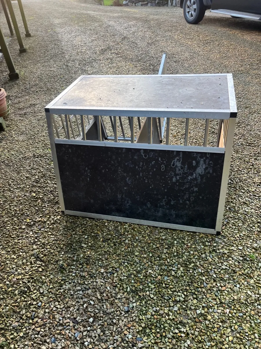 Dog box - Image 3