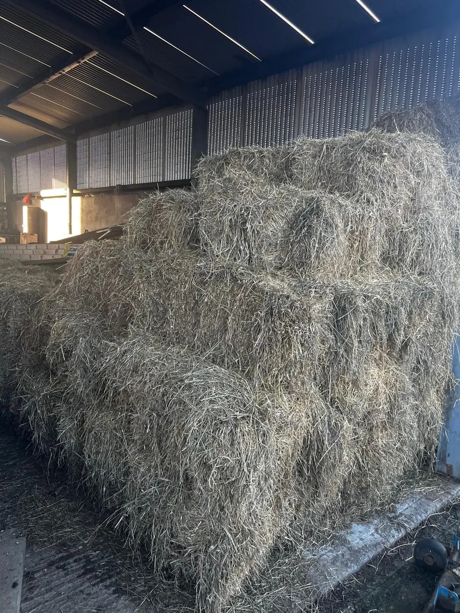 Bales of silage - Image 4
