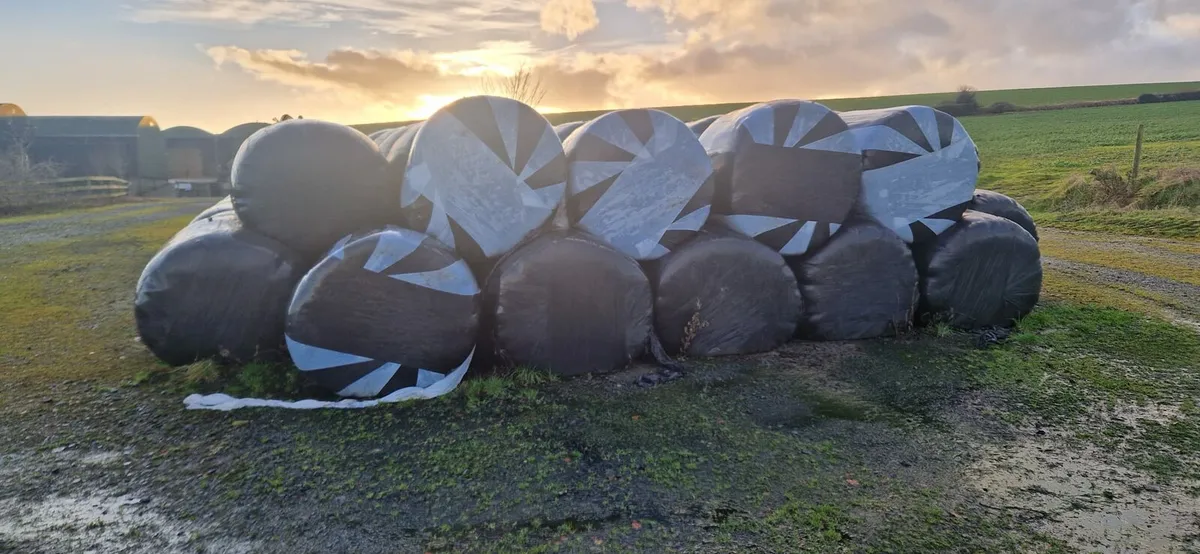 "Oaten Straw and Silage Bales" - Image 2