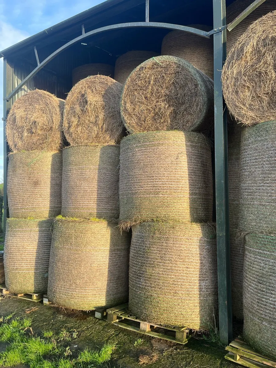 Bales of hay - Image 2