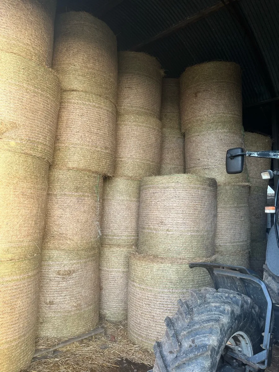 Bales of hay - Image 1