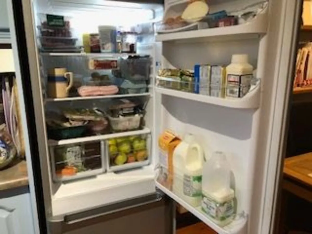 Fridge Freezer - Image 1