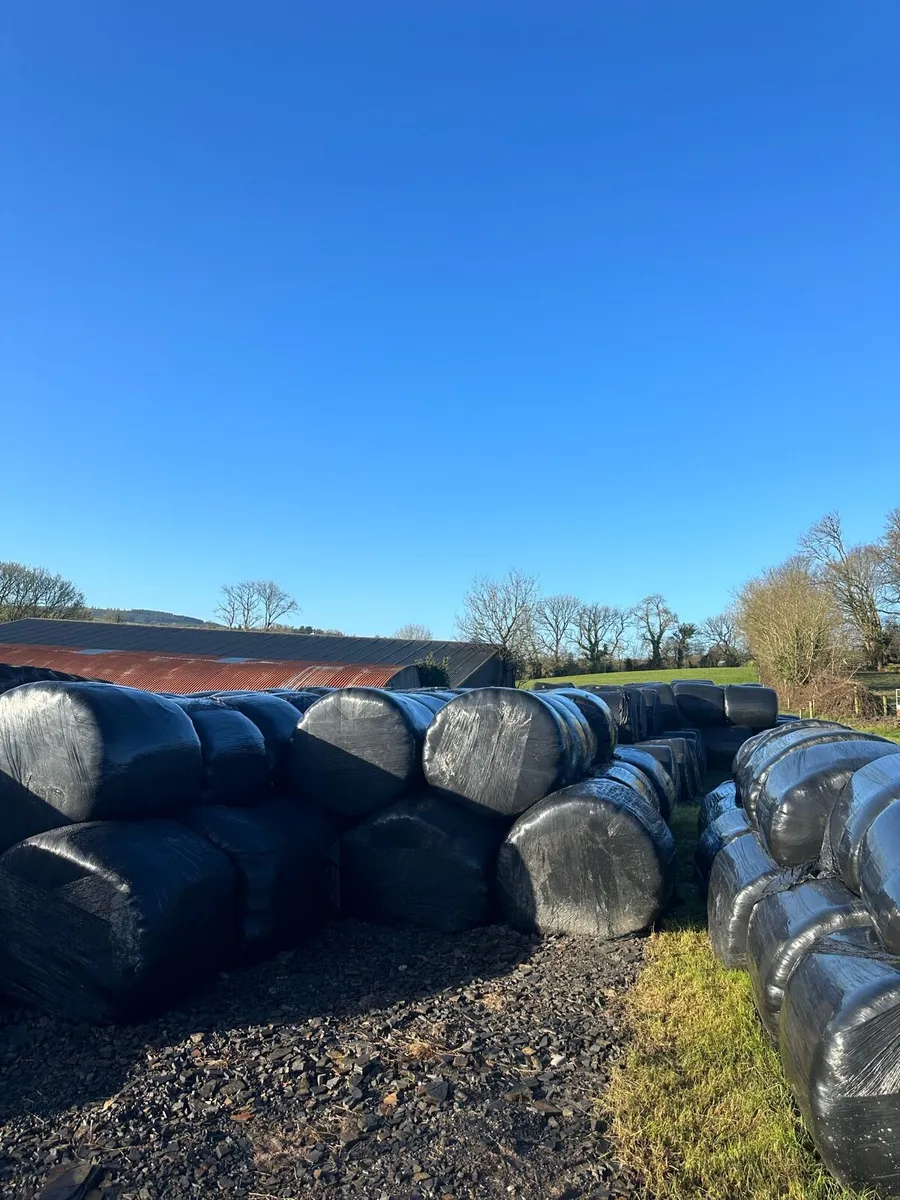 Silage Bales