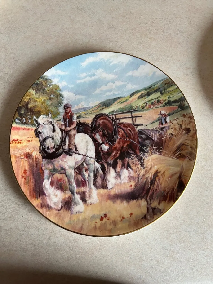 Royal Doulton Plates - Image 1