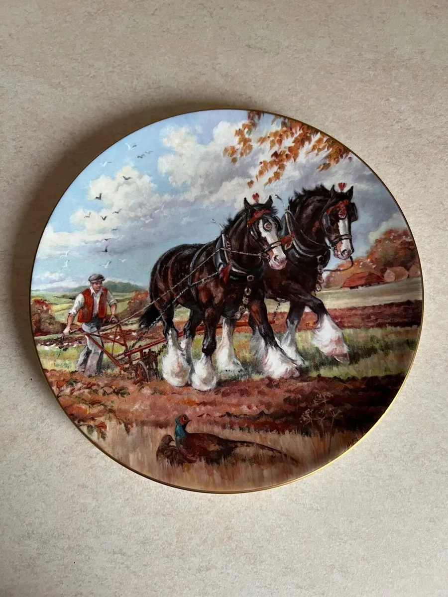 Royal Doulton Plates - Image 2