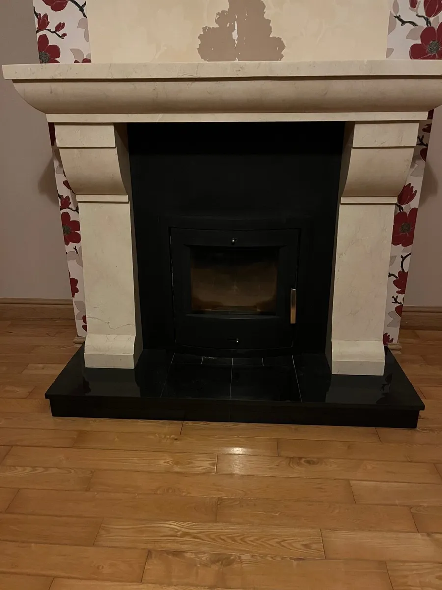 Fireplace and insert stove - Image 1