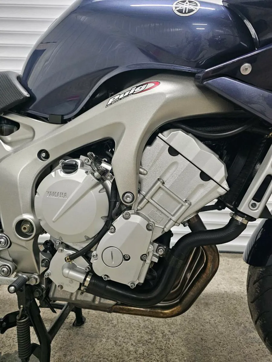 Yamaha FZ6 - Image 3
