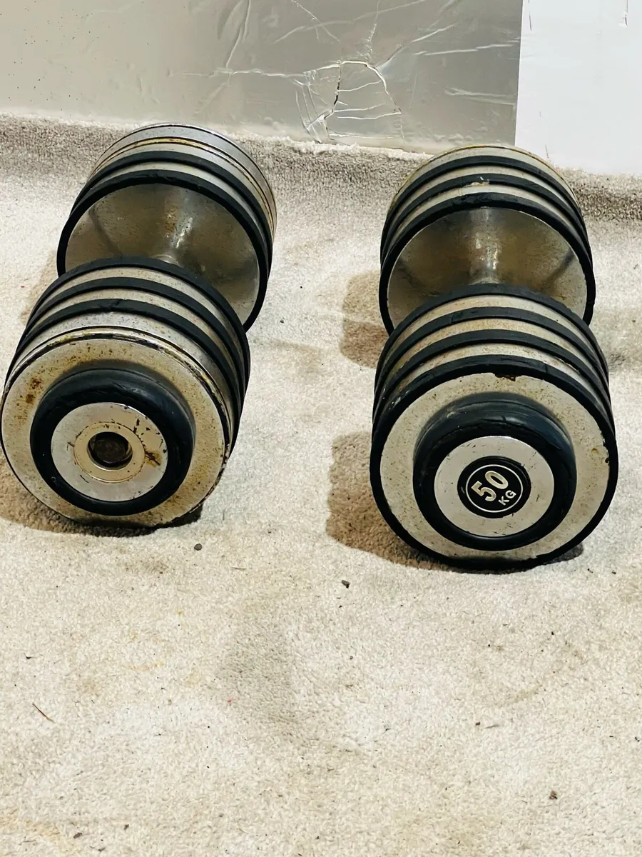 2 X 50 KG DUMBBELLS - Image 1