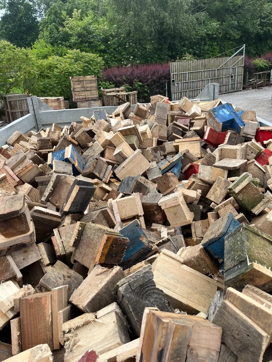 Firewood - Image 1