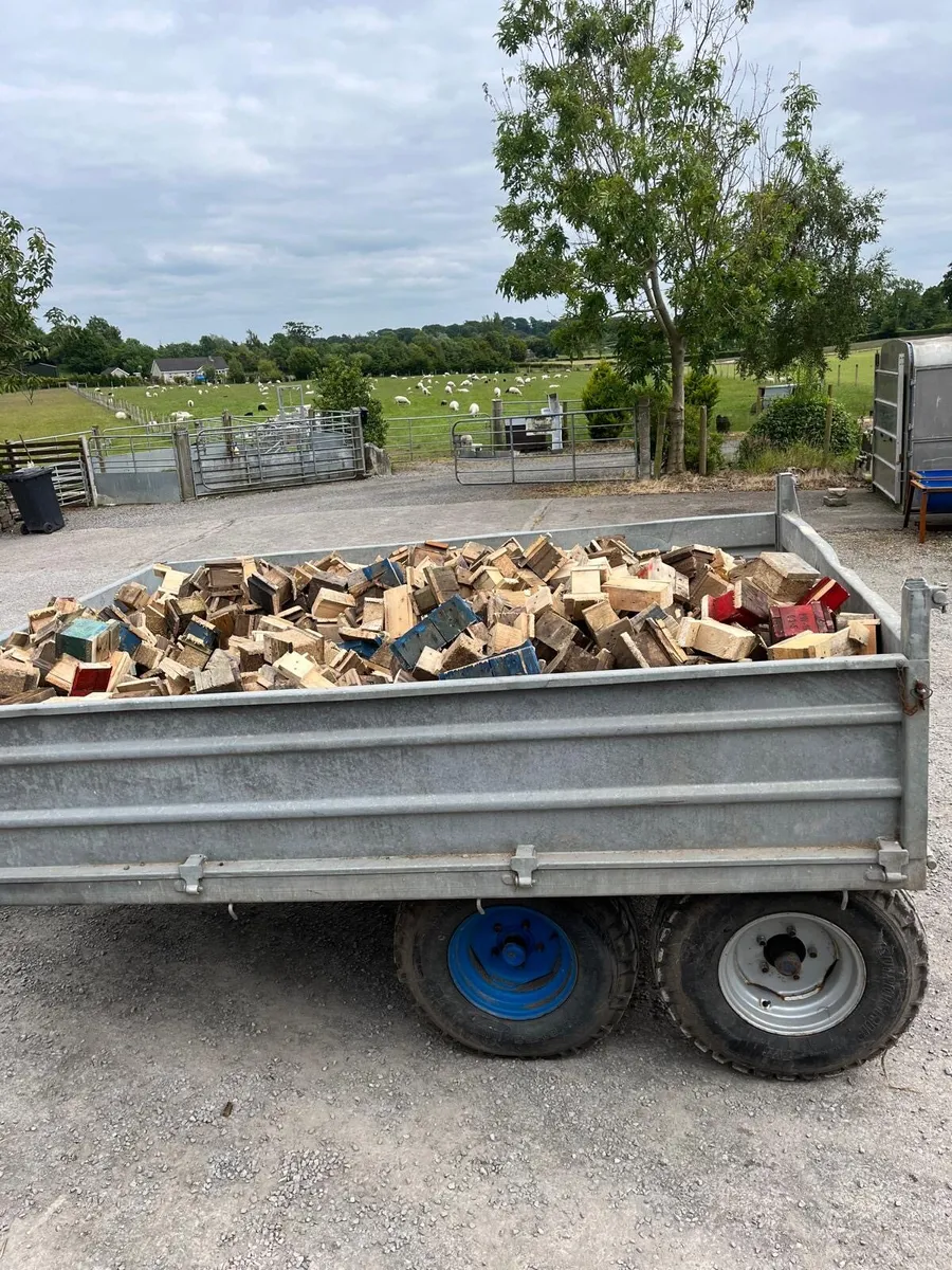 Firewood - Image 4