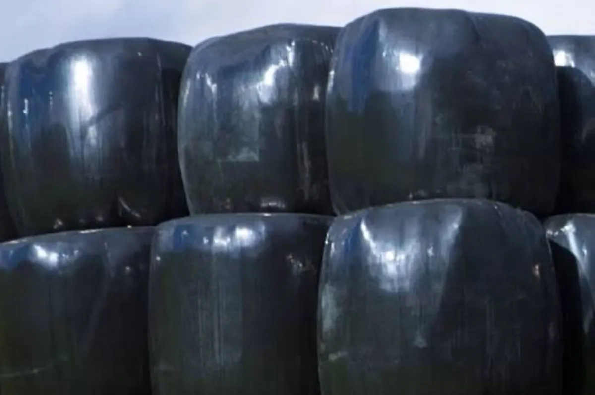 Silage bales