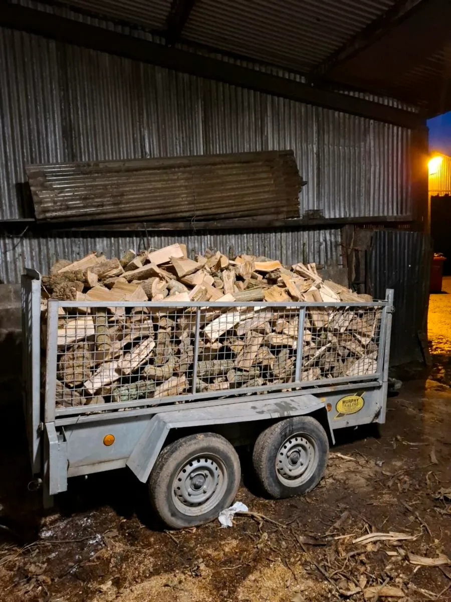 Firewood - Image 1