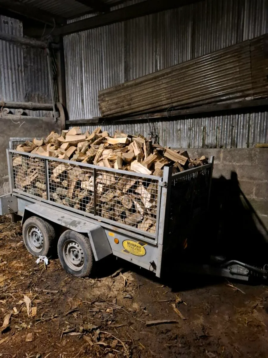 Firewood - Image 2
