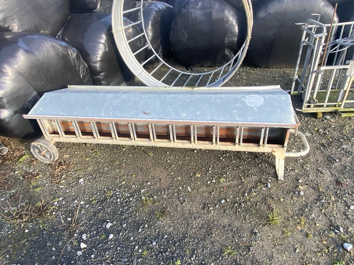 Sheep handling/ feeding equipment - Image 1