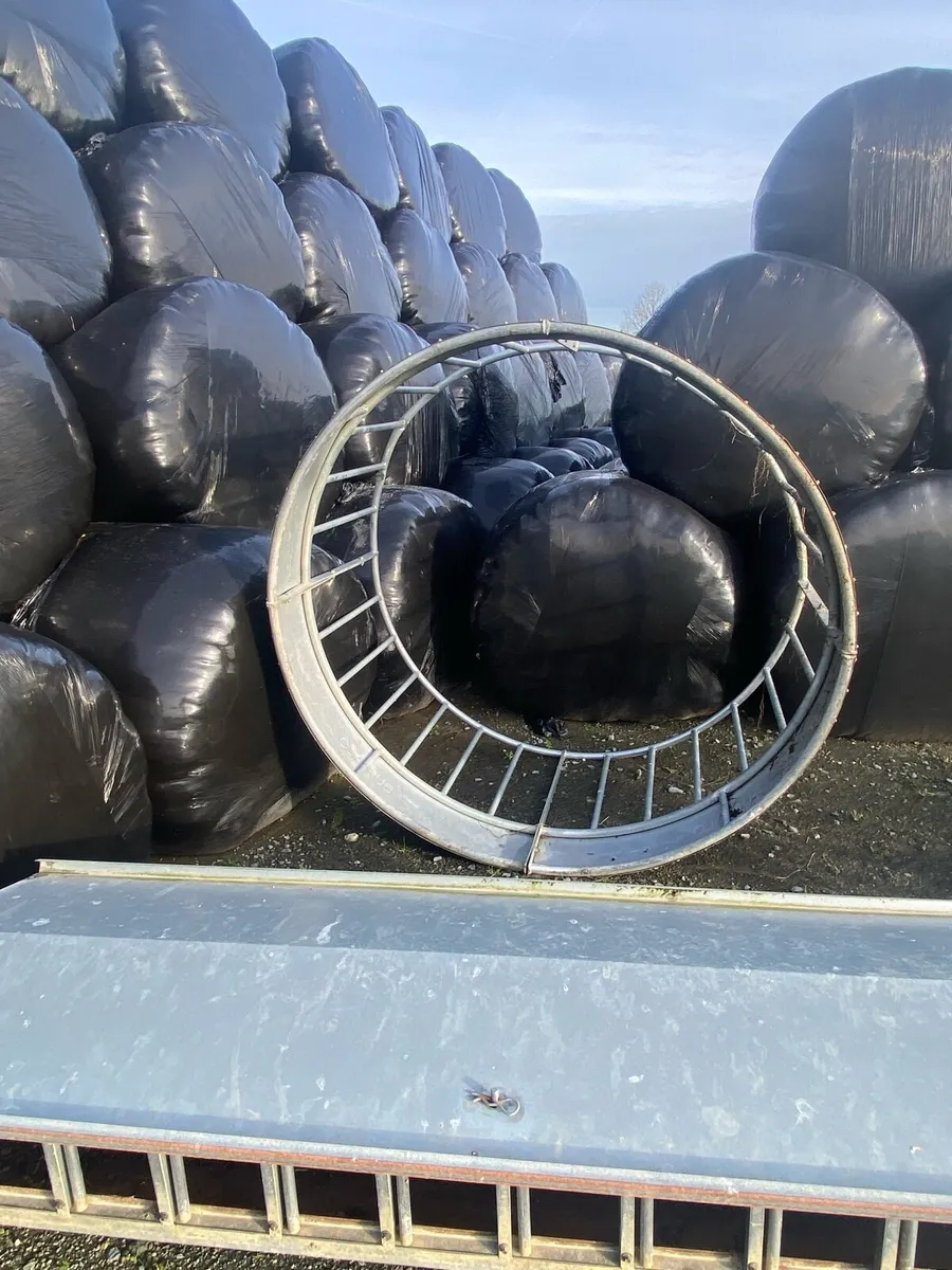 Sheep handling/ feeding equipment - Image 2