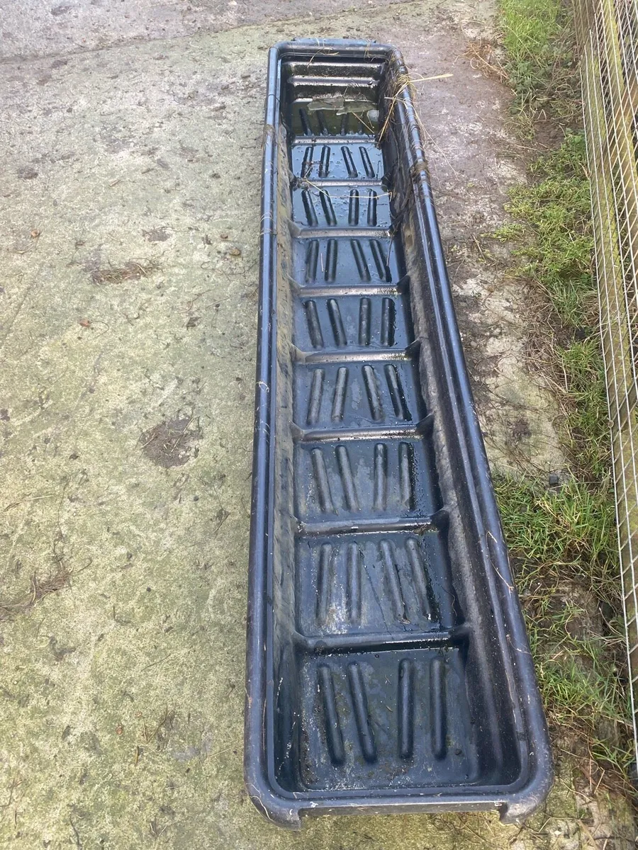 Sheep handling/ feeding equipment - Image 3