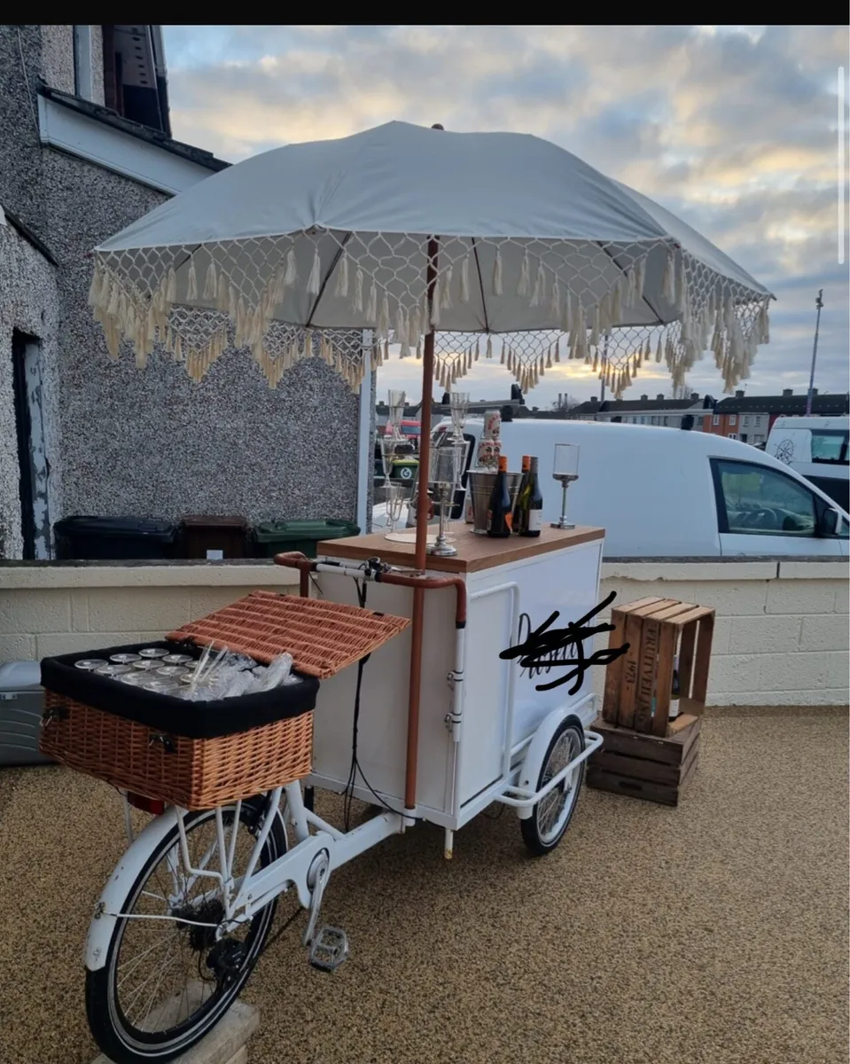 Vintage Style Pushley promotional bike - Image 4