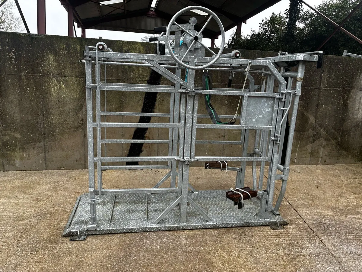 Cattle Crush - Image 1