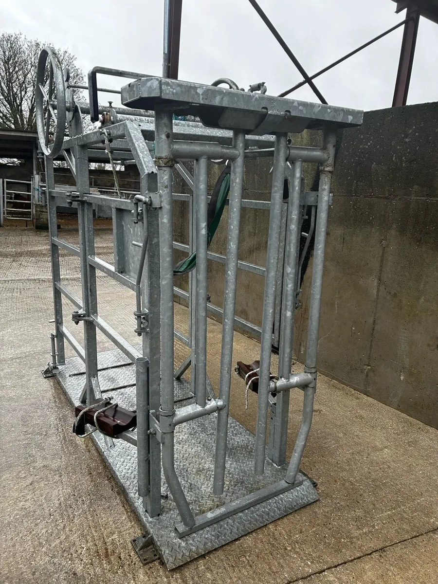 Cattle Crush - Image 2