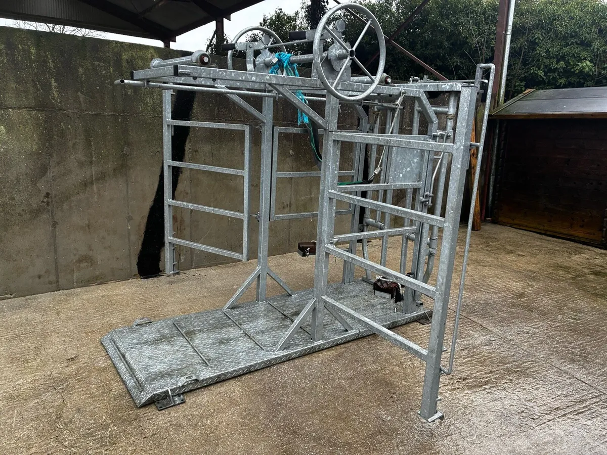 Cattle Crush - Image 3