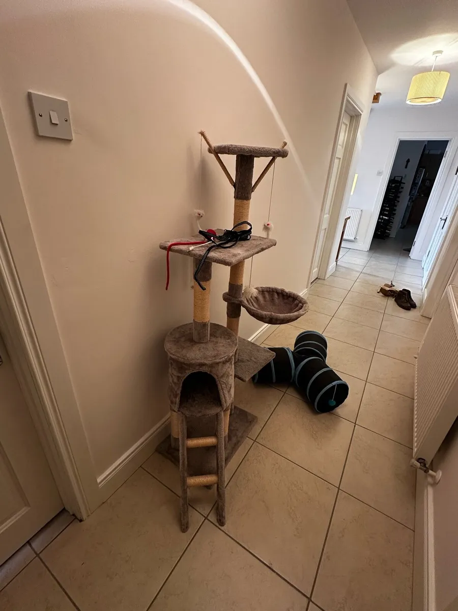 Cat tower and toys - Image 1