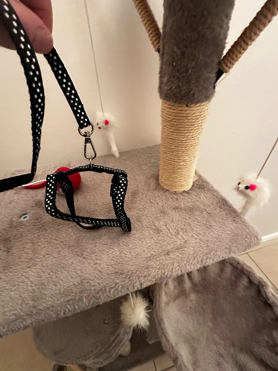 Cat tower and toys - Image 2