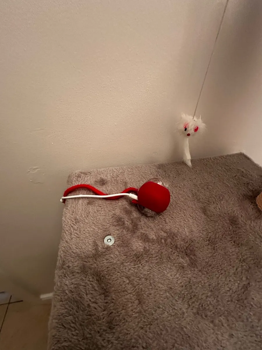 Cat tower and toys - Image 3