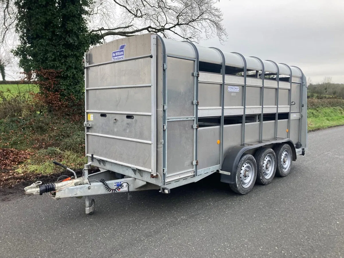 2020 Ifor Williams 14ft Sheep Decks Trailer - Image 3