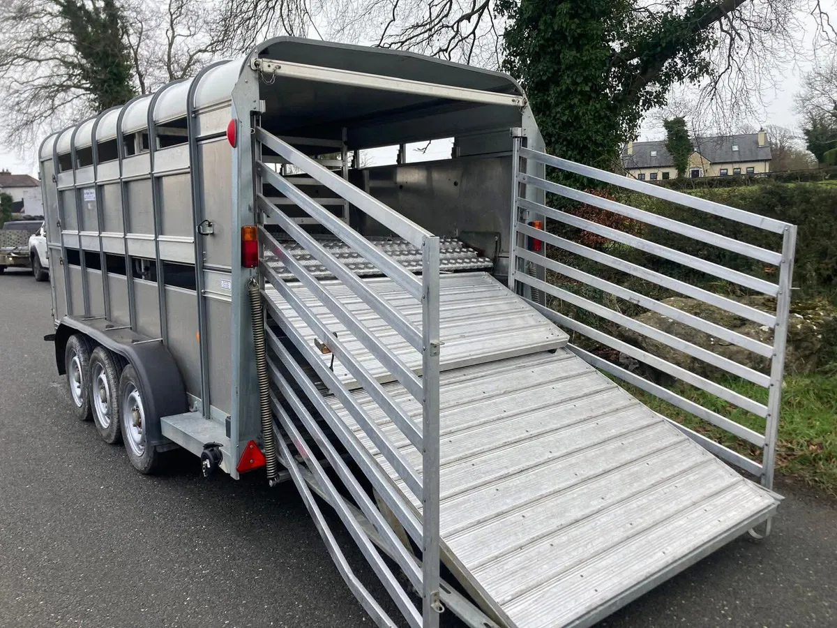 2020 Ifor Williams 14ft Sheep Decks Trailer - Image 1