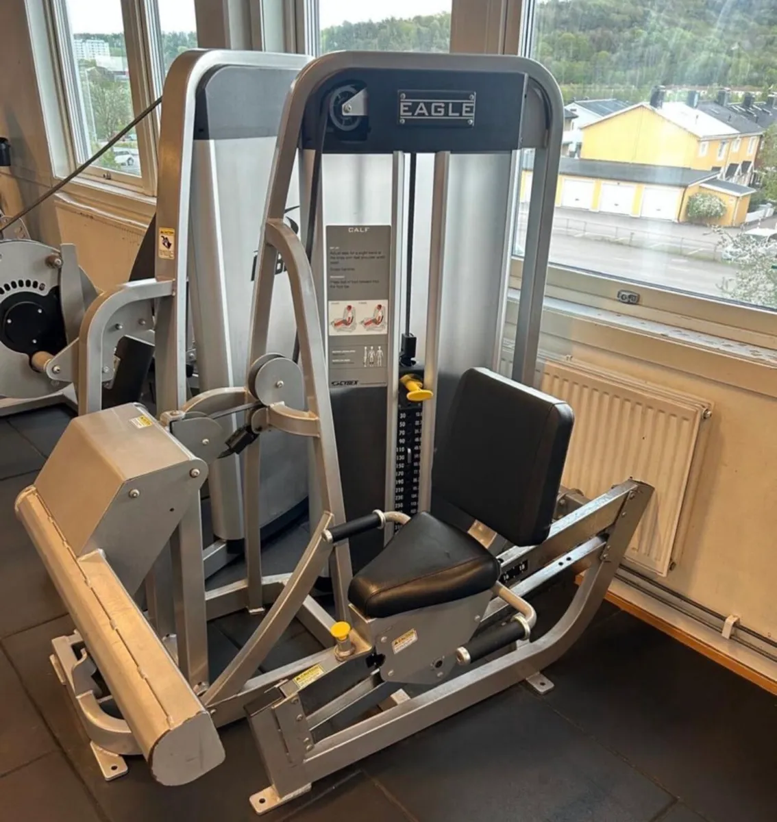 Cybex eagle seated Calf