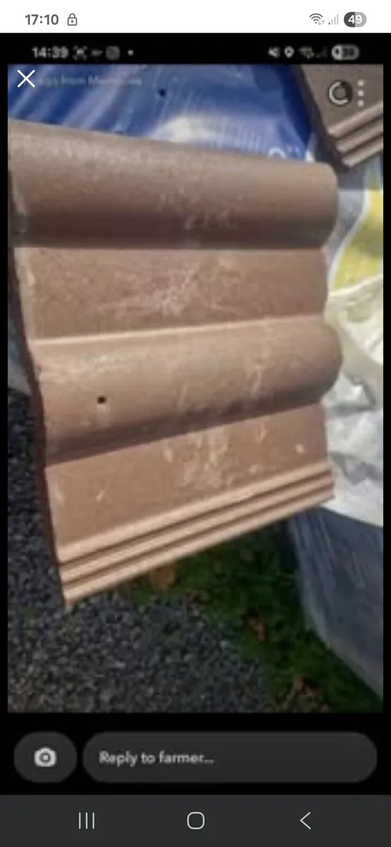 Lagan double roll brown - Image 3