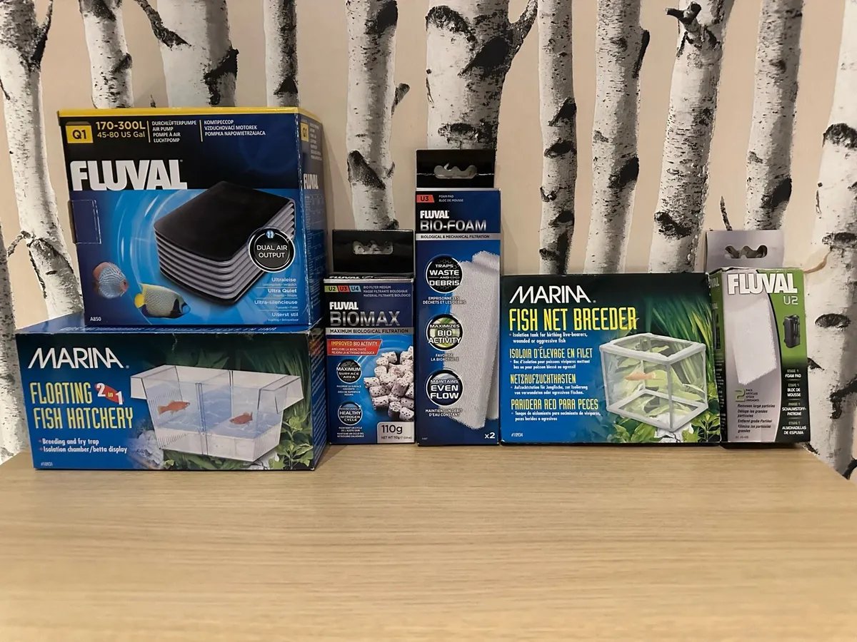 Full Fish Tank Setup - Image 2