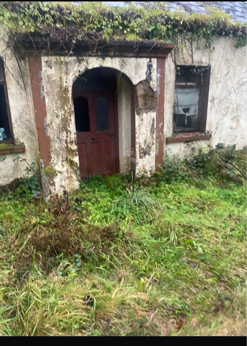 Derelict house for sale - Image 4