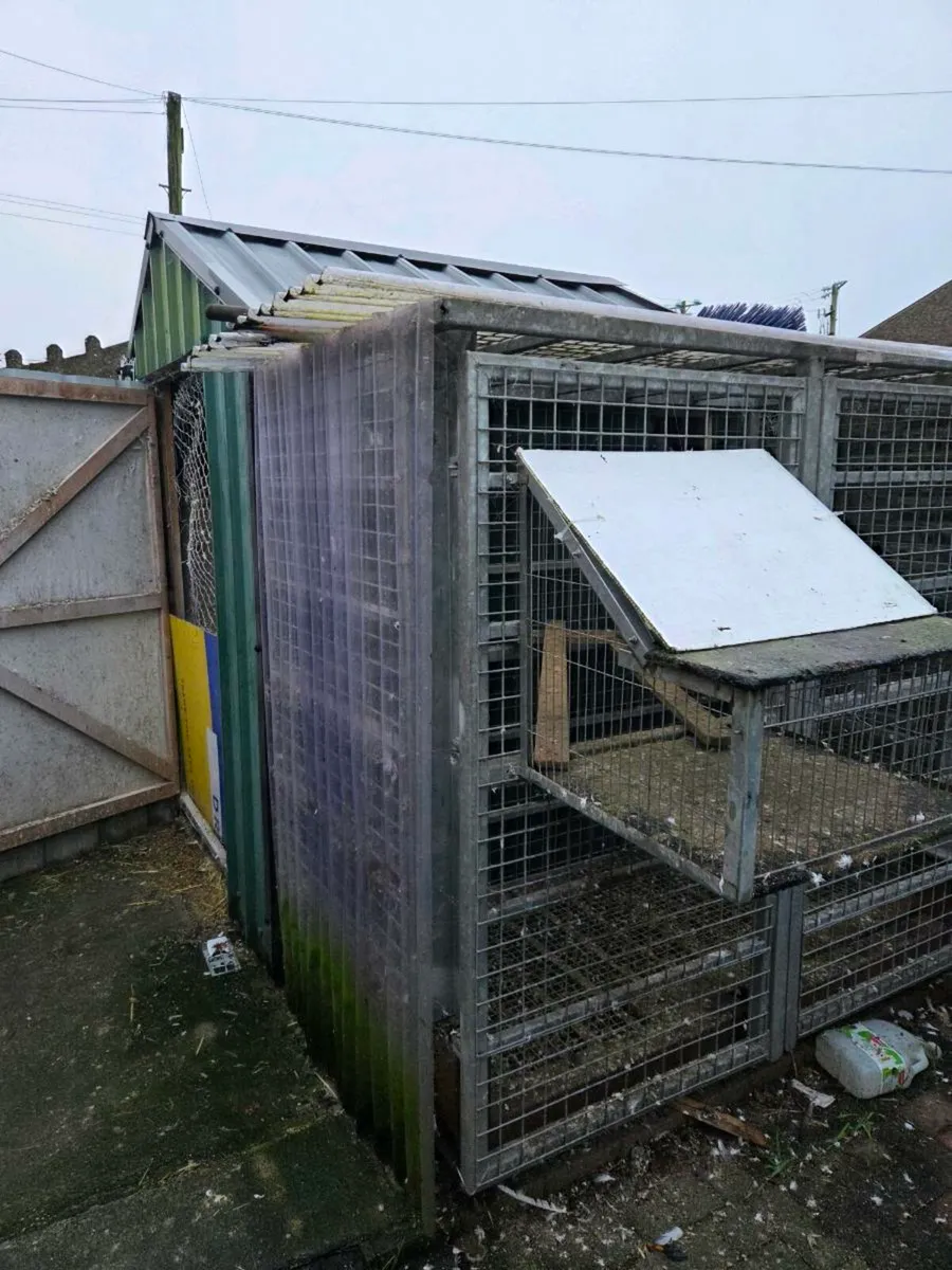 Cage or aviary - Image 1