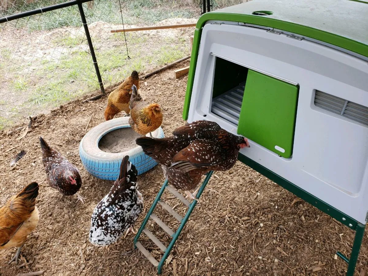 Omlet Eglu Chicken coop with automatic door - Image 1