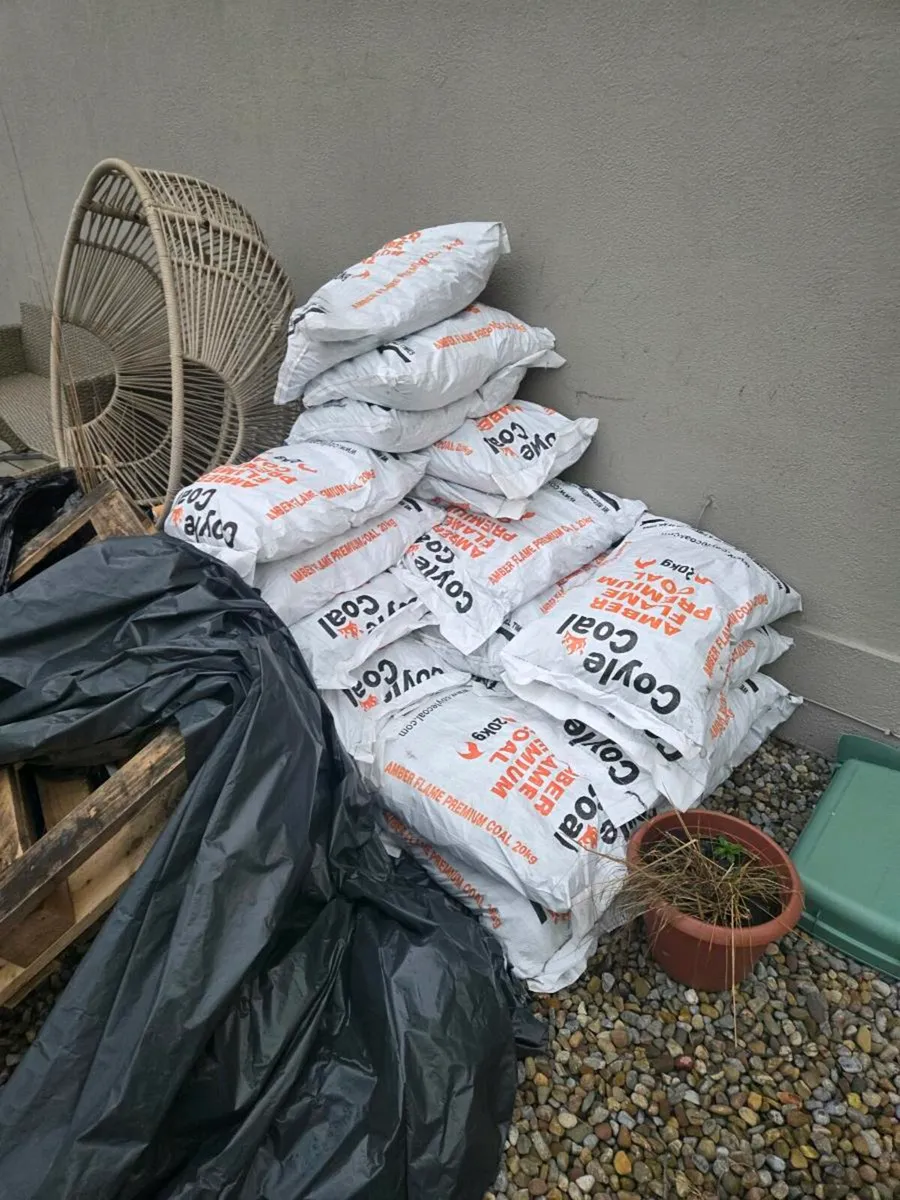 Coal swap for firewood - Image 1