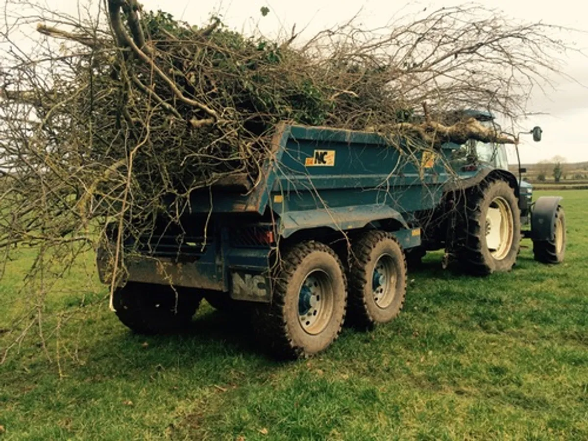 Hire a Dump Trailer- - Image 3