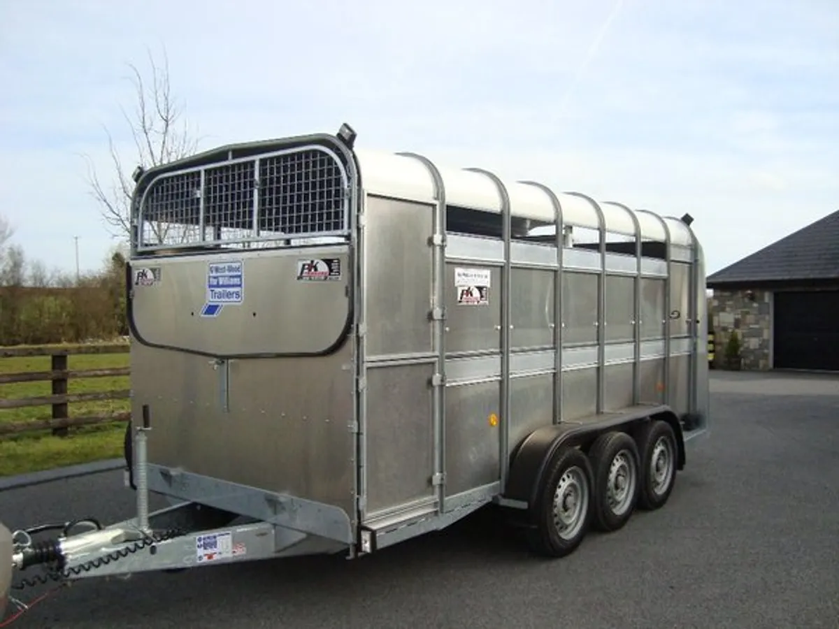 PK'S-IFOR WILLIAMS 14X5'10'' TRI-AXLE - Image 2