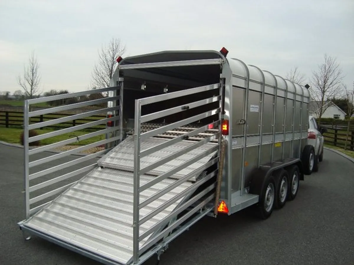 PKS-IFOR WILLIAMS 14' x 5'10''TRI-AXLE - Image 1