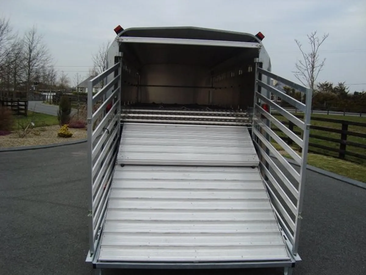 PKS-IFOR WILLIAMS 14' x 5'10''TRI-AXLE - Image 2