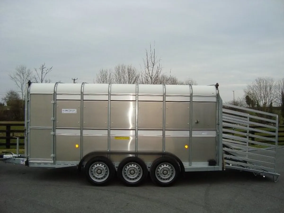 PKS-IFOR WILLIAMS 14' x 5'10''TRI-AXLE - Image 3