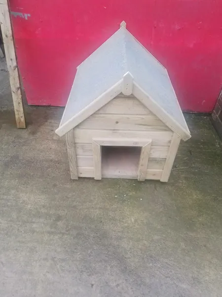 Dog house hot sale olx