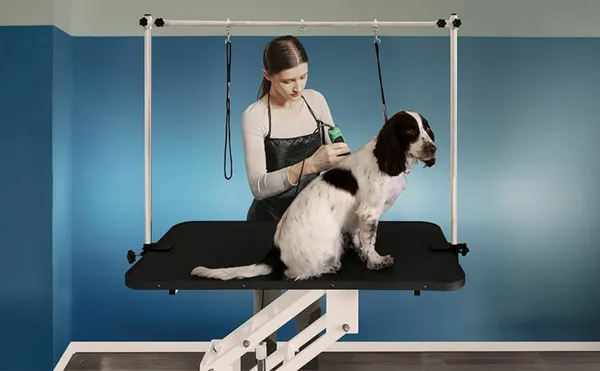 Dog Grooming Table Hydraulic Delivery for sale in Co