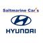 Saltmarine Hyundai image
